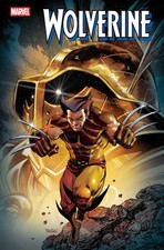 Wolverine #20 picture