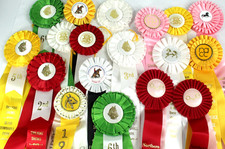 Lot Of 18 Horse Show Ribbons Albion College, Blair Townhall Park, NW Mich. Fair picture