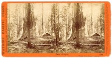 YOSEMITE STEREOVIEW - Galen's Hospice - C.E. Watkins 1870s picture