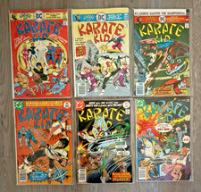 Karate Kid grab bag (6 comics) picture