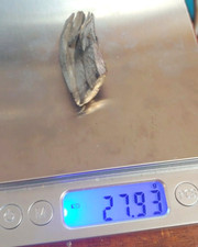 27 Gram  Ytterbium metal Specimen  Ingot 99.9% Spike picture