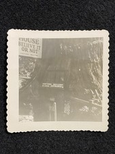 Leggett California CA Redwood Tree House Mendocino Co. Antique Snapshot Photo picture