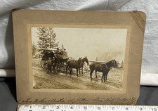 RARE 1800s YELLOWSTONE PARK 9