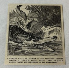 1881 magazine engraving ~ HUNTER RUNNING FROM FLORIDA ALLIGATOR picture