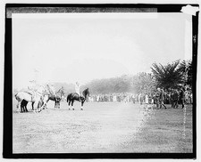 Photo:Harding Polo Match 1921 Horses Crowd Spectators picture