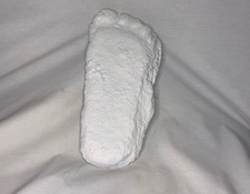 Bigfoot, Sasquatch, Patterson Gimlin Foot Casting, Contains Real Artifacts, Book picture