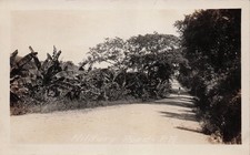 RPPC Ceiba Military Road Puerto Rico WWI Rosy Roads Navy Base Postcard 21A picture