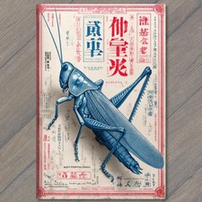 POSTCARD Large Grasshopper Locust Insect Bug Entomology Japanese Kanji Red Blue picture