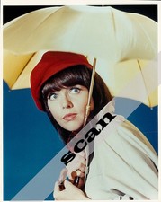 GET SMART TV Show Barbara Feldon 8X10 PHOTO #A192 picture