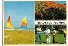 Postcard Scenes & Views Florida USA I-21636 picture