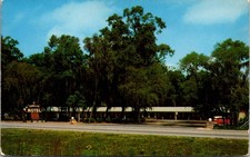 Cadillac Motel US Highways 19 - 98 Mr & Mrs LT Bishop Vintage Postcard TP15-9 picture