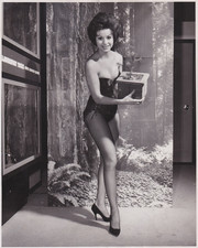 1961 Press Photo Leggy Model and Playboy Bunny Kelly Collins poses with Fir Tree picture