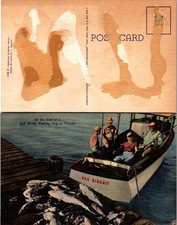 Vintage Florida Saltwater Fishing Trip Postcard Unused 50585 picture