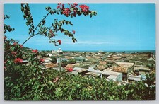 Cap Haitien Haiti Panoramic View Bougainvillea Flowers Cruise Ship Postcard picture