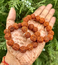 2 Pc Natural RUDRAKSHA 5 mukhi Rudraksh Bracelet Adjustable Unisex 11-12 mm Size picture