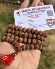 LAB CERTIFIED Rare 9 Mukhi RUDRAKSHA Rudraksh Mala ROSARY 108+1 Prayer Beads picture