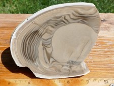 TCR Polish Flint*Rough Slab 133grams – Unique Natural Orb Pattern | Poland picture
