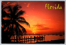 c1990s Florida Sunset Palm Trees Scenic Distributors Postcard picture