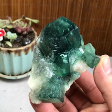90-55-53mm Rare Natural Green Calcite fluorite Mineral Specimen 281g A3873 picture