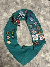 Girl Scouts Sash With Pins 2009 picture
