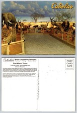 Cabela's Fort Worth Texas African Diorama Postcard Wild Animals Taxidermy picture