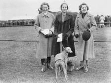 Hon Pamela Herman Hodge Deborah Mitford Lady Margaret 1938 Old Photo picture