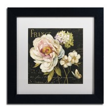 Trademark Fine Art Marche de Fleurs on Black Decor Lisa Audit 11x11 Black Frame picture