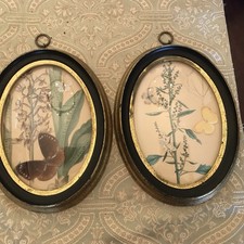 Vintage Clifford Art Studios Gold Wood Frame Curve Glass Real Butterfly Pictures picture