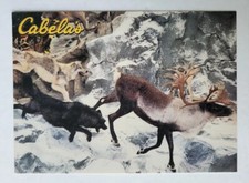 Postcard Cabela's Dundee Michigan USA Caribou Display  picture