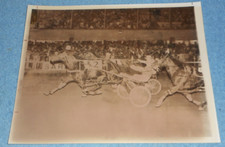 1974 Harness Racing Press Photo Horse 