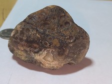 7.3oz Lake Superior Agate picture