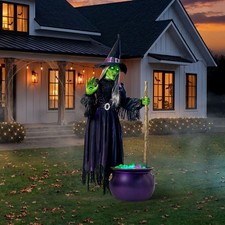 Member's Mark 6.5' Pre-Lit Animated Floating Witch picture