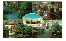 Nimbus Leather Works, Village Fair on the Plaza Ashland OR VTG postcard Unp picture