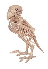 Skeleton Parrot picture