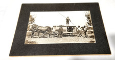 Antique 1900 Photo 5x3 Horse Drawn Motorized Orchard Spray Rig Wagon Engine Farm picture