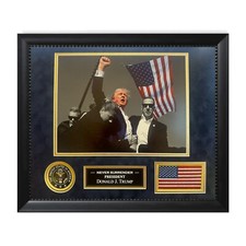 President Donald J. Trump Assassination Attempt Photograph Framed To 16x20 USA picture