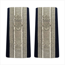 GENUINE U.S. COAST GUARD AUXILIARY ENHANCED SHOULDER BOARD: DCO - 1 STAR picture