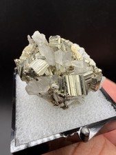 Gorgeous Striated Golden Pyrite on Quartz (Thumbnail) - Kalimantan, Indonesia picture