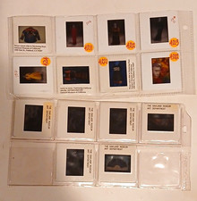 Oakland Museum of California 35mm Color Slides Lot 15 Lia Cook 1988 picture