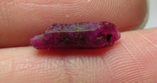 2.00ct Vietnam 100% Natural Red Ruby Dogtooth Crystal Specimen 0.40g 12mm picture