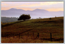 c1990s Morning Light Rockbridge County Virginia Falling Spring Studio Postcard picture