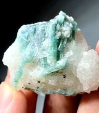 250 Carats Aesthetic Blue Tourmaline Crystal Bunch Specimen picture