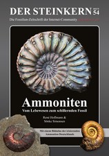 THE STONE CORE 54: Ammonites: From Living Things to Iridescent Fossil (116 Sided) picture