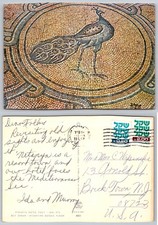 Beit Shean Israel Byzantine Mosaic Floor Peacock Palphot Postcard 1987 picture