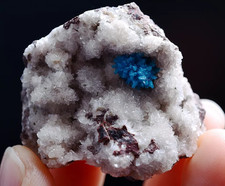 19g Natural CAVANSITE & ZEOLITE Crystal Symbiotic Mineral Specimen picture