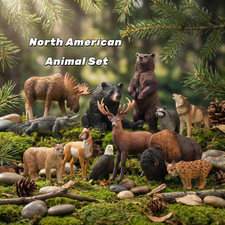 Toymany  North American Forest Animal Figurine, Collectible Handpainted Toy Set? picture