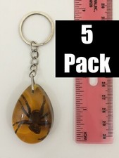 Real Spider Keychain - Minor Defects - Taxidermy Insects in Resin - 5 PACK picture