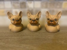 French Bulldog Duck Tan picture