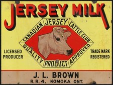 JERSEY MILK CANADIAN CATTLE CLUB 16