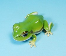 Bandai The Diversity of Life on Earth Green Japanese tree Frog movable figure picture